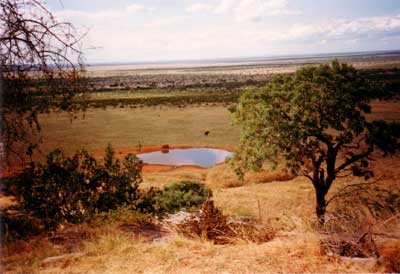 La savana vista desde el hotel en el Parque Nacional, con el nico abrevadero en kilmetros a la redonda.