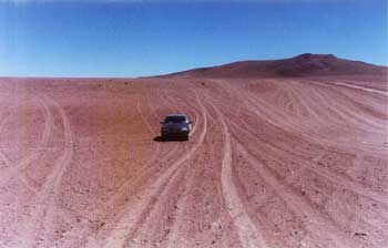 Perdidos en el desierto