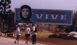 Tu ejemplo VIVE