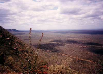 La savana vista desde las colinas donde tenan su guarida los leones.